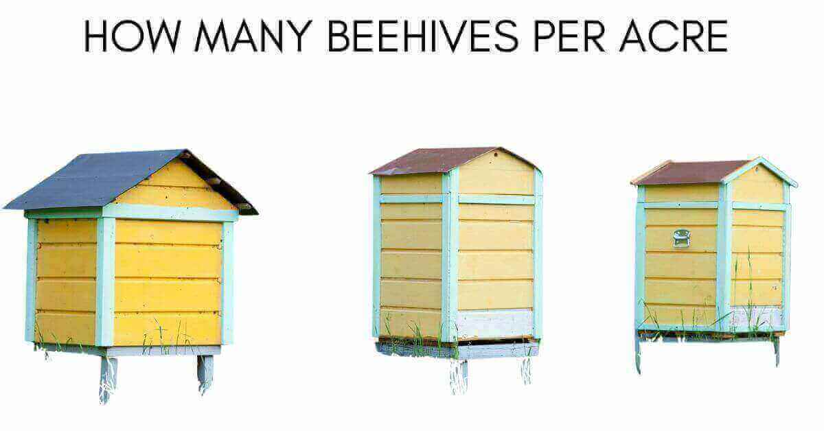 How Many Beehives Per Acre