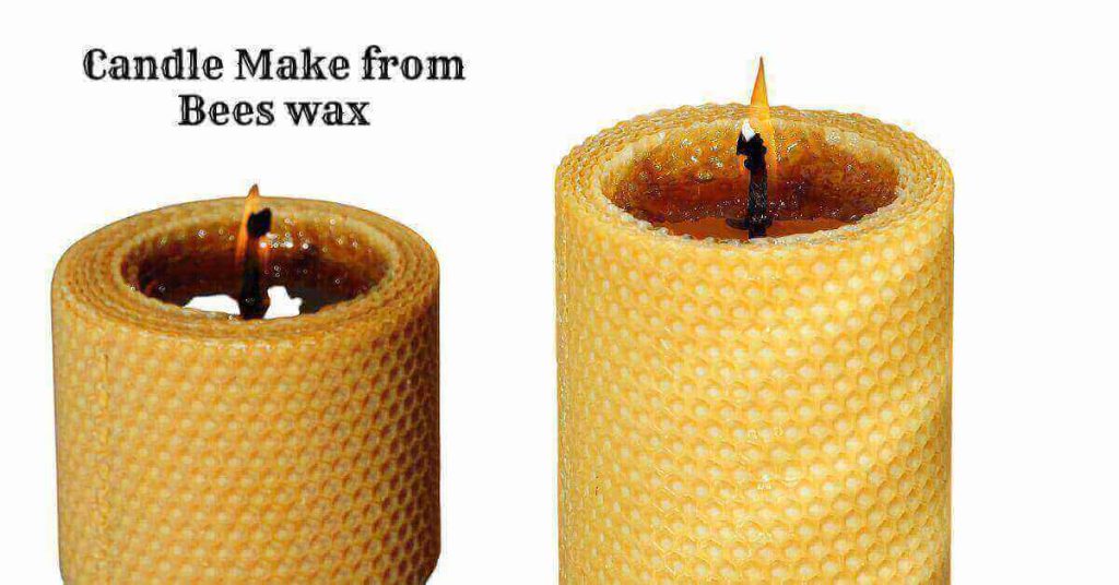 How do Bees Make Wax