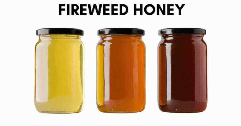 Fireweed Honey