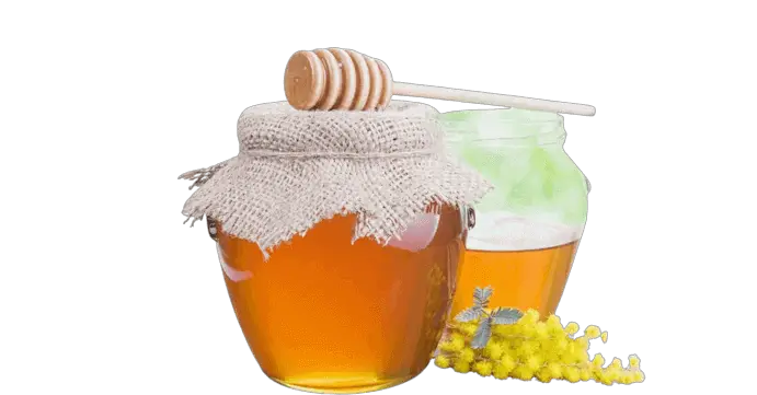 Is honey bee vomit