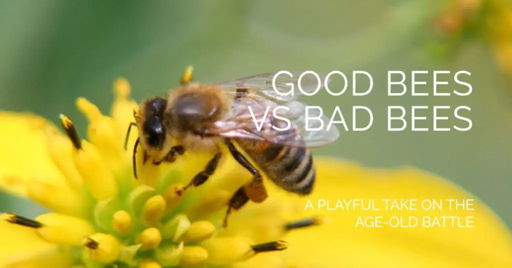Good Bees vs Bad Bees
