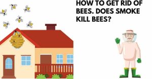 How To Get Rid of Bees. Does smoke kill bees