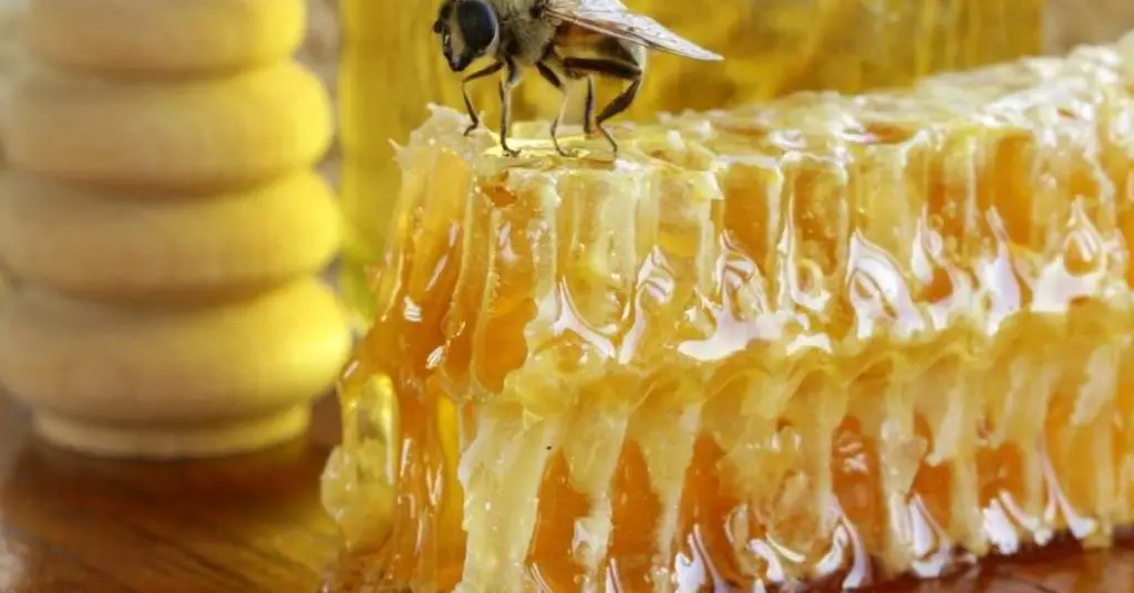 Do Bees Eat Honey