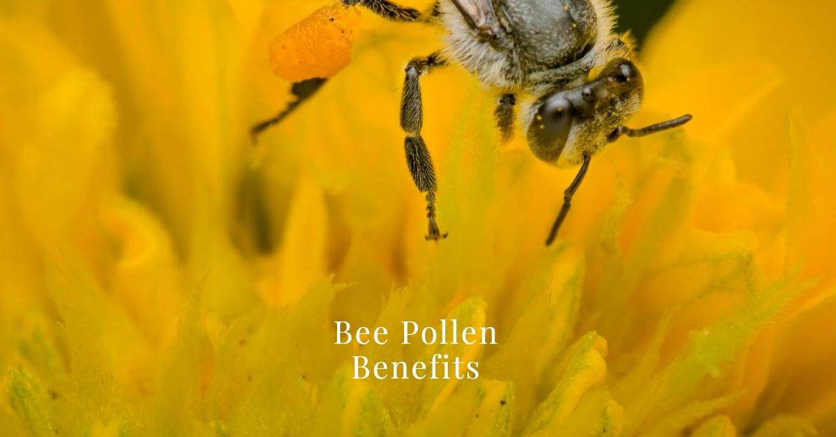 Bee Pollen Benefits