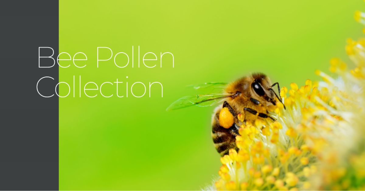 Bee Pollen Collection