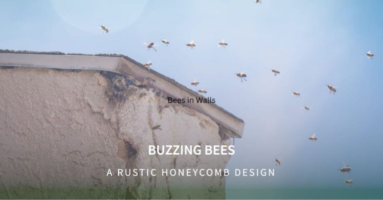 Bees in Walls