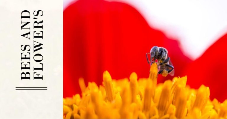 Flowers and Bees